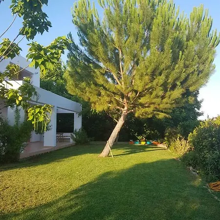 Unique In An Orange Grove Villa Náuplia