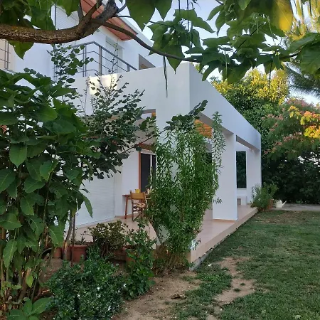 Unique In An Orange Grove Nauplie